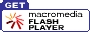 flash_get.gif