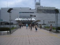 250PX-~1.JPG