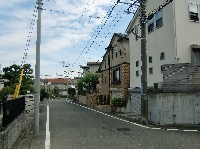 tatibanadai1.JPG