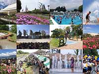 秦野総合運動公園