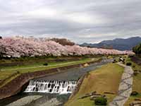 水無川