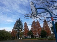 あざみ野四丁目北公園